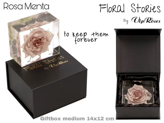 Vip Fossil Epoxy Menta. Exclusive Gift Box.