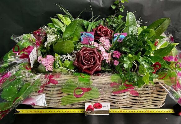 Design plant arrangement in  rattan basket. (exclusive)