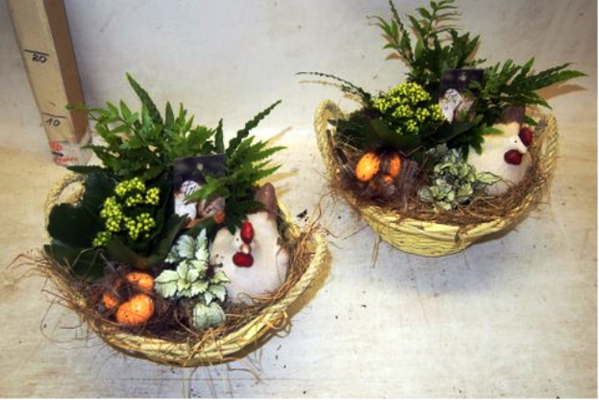 Easter Decorated Plants In Basket !!!