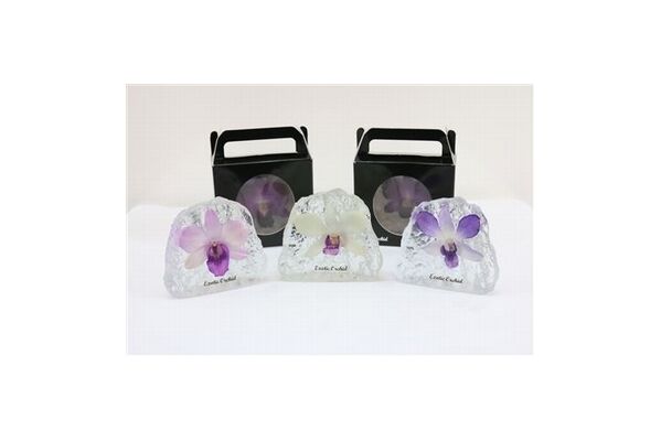 Exclusive Dendrobium Orchid Flower In Crystal !!! New!!!