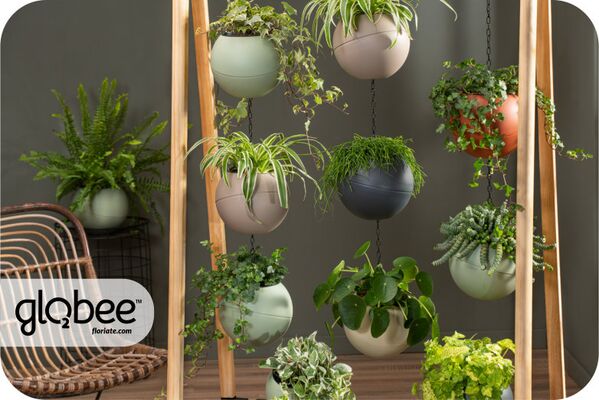 Το Globee είναι εύκολο να τακτοποιήσετε και να το συνδέσετε με διάφορους τρόπους.
Για να μπορέσετε να πρασινίσετε τον κόσμο σας με έναν απλό, κομψό τρόπο και εξοικονομώντας χώρο.