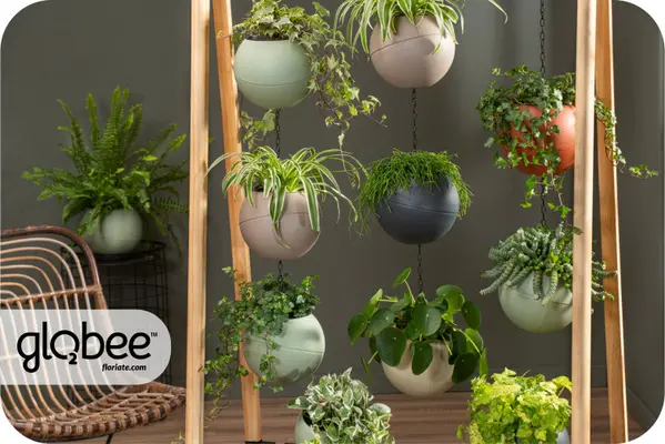 Το Globee είναι εύκολο να τακτοποιήσετε και να το συνδέσετε με διάφορους τρόπους.
Για να μπορέσετε να πρασινίσετε τον κόσμο σας με έναν απλό, κομψό τρόπο και εξοικονομώντας χώρο.