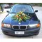 Wedding auto standard.
