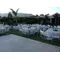Wedding Reception flower decoration. Blue vanda. Summer Theme !!