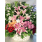 Σύνθεση σε καλάθι με ροζ λουλούδια και καλοκαιρινό άρωμα!!! (Λουλούδια σε ομάδες)