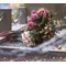 Grave flower arrangement
