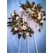 special-wreath
