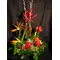 Christmas arrangement. Tropic flowers !!!