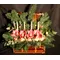 Christmas arrangement in basket with candles