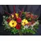 Basket with amaranthus