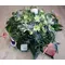 table anth candle.jpg