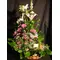 pink-wine-basket1.gif