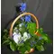 Basket with flowers