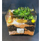 echeveria cube.jpg