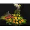 Easter arrangement. Flower Bird in Basket