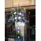 Baptismal decoration. Vanda orchids exclusive arrangement.