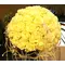whiteroses.gif