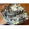 Bridal bouquet "twisted tillandsias"
