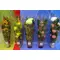 Flowers in water transparent case with handle