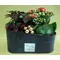 Christmas Plants arrangement in metal zink, wood or ceramic pot.