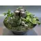Plant arrangement with candles in metal pot