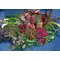 Condolences arrangement with exclusive tropical and seasonal flowers