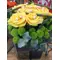 Season flowers bouquet in modern rectangular bag with water