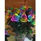 Roses "Rainbow"