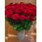 red naomi roses
