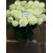white roses