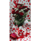 μακρυά κόκκινα τριαντάφυλλα Ολλανδικά σε γυάλινο κύλινδρο