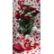 A' quality long stem red roses Dutch in cylinder vase