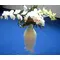 Phalaenopsis orchids in vase