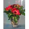 Pebbles "Oasis Moss" in glass vase with season summer flowers