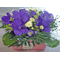 Arrangement with vanda orchids in "paper look" ceramic pot