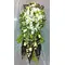 Funeral arrangement