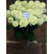 (11) white roses A' quality Dutch or Ecuador with greens gift wrapped.