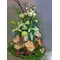 A "dream" arrangement for "Princess"