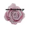 Roses Aqua"snowy"