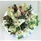 Cymbidium orchids "dancing"