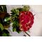 Design bouquet (31) red roses Extra Quality Dutch + Vase!!!