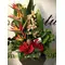 Christmas Arrangement with tropical flowers in parallel lines.