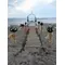 Summer Wedding on the beach
