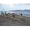 Summer Wedding on the beach !!! The Scenery !!!