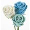 (10) Exclusive Waxed Roses  (random colors) in vase with colored water!!!