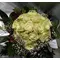 wedding bouquet