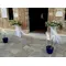 Arrow shaped arrangements & Phalaenopsis Orchids Plants