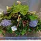 Exclusive Arrangement in basket
