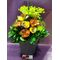 Μπουκέτο με λουλούδια και πασχαλινή διακόσμηση
