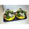Easter Decorated Plants In Basket !!!